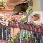 Durdica 로브란