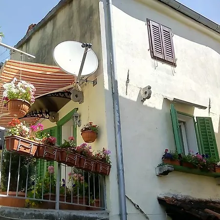 Durdica